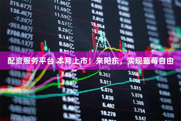 配资服务平台 本月上市！来阳东，实现蓝莓自由